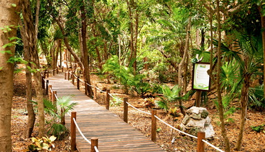 Sandos Caracol Eco Experience Resort & Select Club