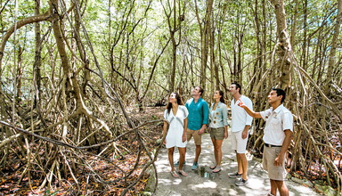 Sandos Caracol Eco Experience Resort & Select Club