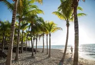 Sandos Caracol Eco Resort & SPA