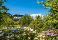 Sandra (Pogorzelica)