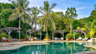 Sands At Chale Island