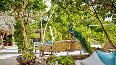 Sands At Chale Island