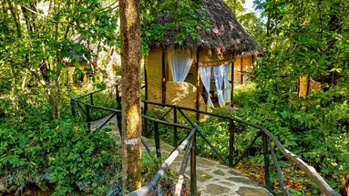 Sands At Chale Island