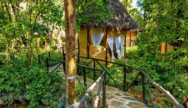 Sands At Chale Island