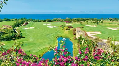 Sandy Lane