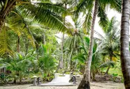 Sandyy Wavess Beach Resort