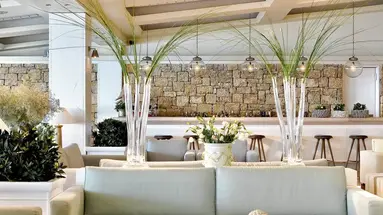 Sani Club