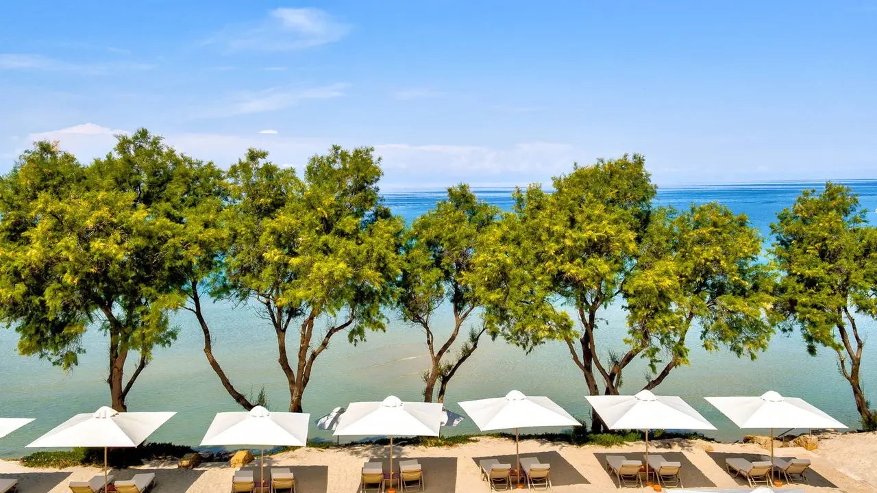 Sani Club