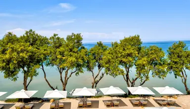 Sani Club