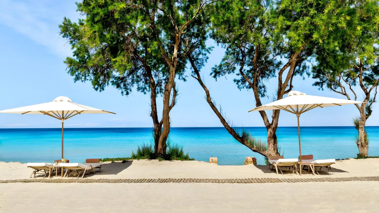 Sani Club