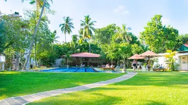 Sanmira Renaissance