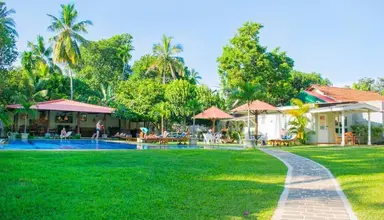 Sanmira Renaissance