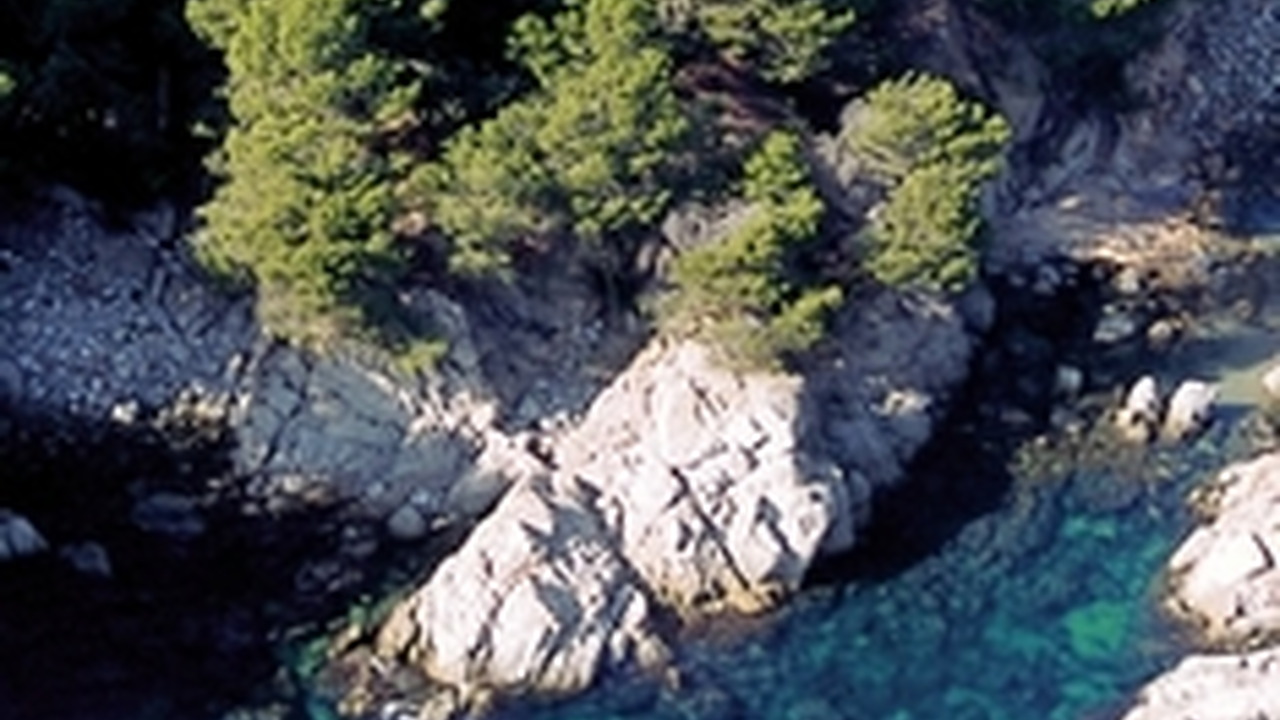 Sant Roc