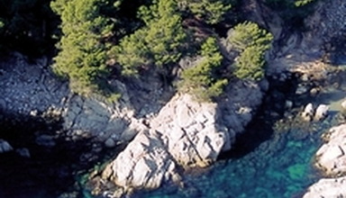 Sant Roc