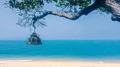 Saree Samui