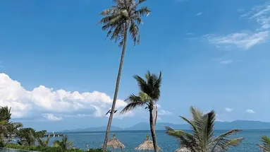 Saree Samui