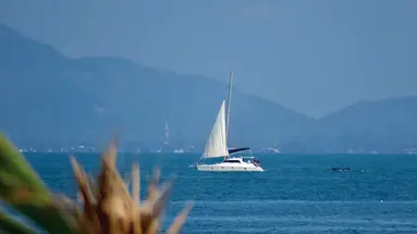 Saree Samui