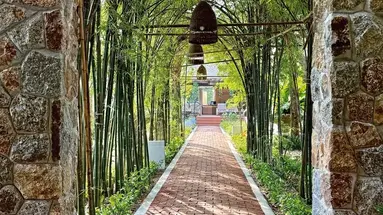 Saree Samui