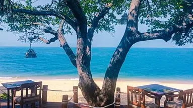 Saree Samui