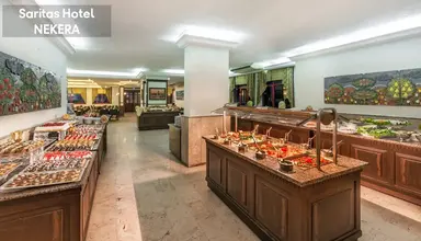 Saritas