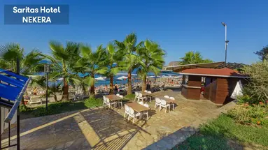 Saritas