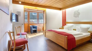 Sauerlander Hof (Willingen)