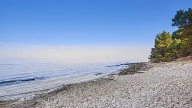 Savudrija Plava Laguna - bungalow