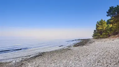 Savudrija