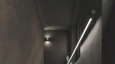 Scenario