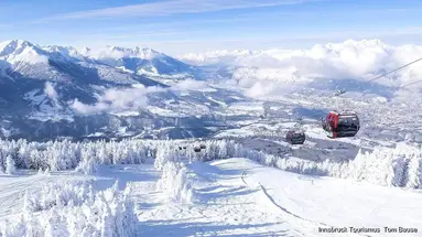 Schwarzer Adler (Innsbruck)