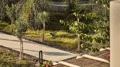 Sea Breeze Beach Resort Curio Collection By Hilton