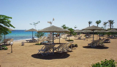 Sea Garden