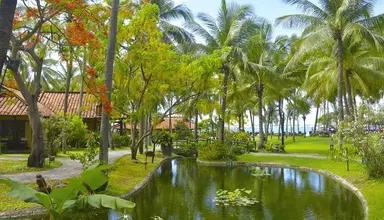 Sea Horse Resort