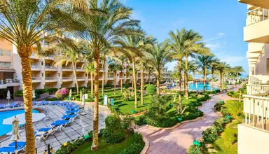 Sea Star Beau Rivage