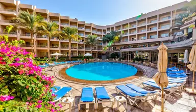 Sea Star Beau Rivage