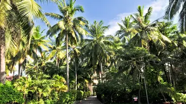 Sea Star Resort Phu Quoc