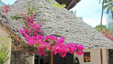 Sea View Lodge (Jambiani)