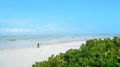 Sea View Lodge (Jambiani)