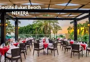 Sealife Buket Resort & Beach