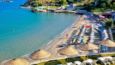 Sealight Resort