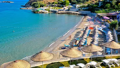 Sealight Resort