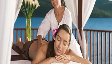 Secrets Wild Orchid