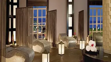 Secrets Wild Orchid
