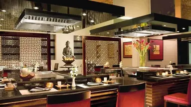 Secrets Wild Orchid