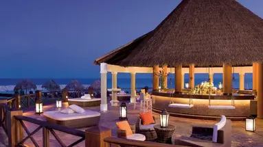 Secrets Wild Orchid