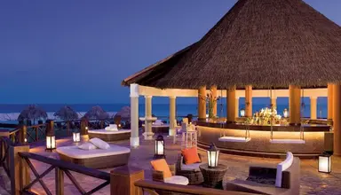 Secrets Wild Orchid