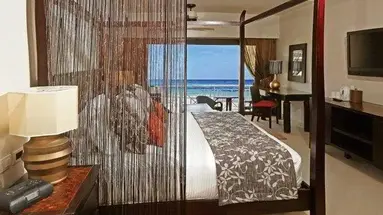 Secrets Wild Orchid