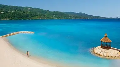 Secrets Wild Orchid
