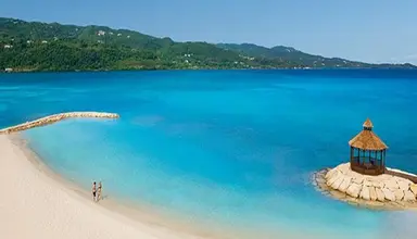 Secrets Wild Orchid