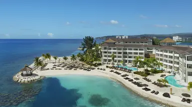 Secrets Wild Orchid